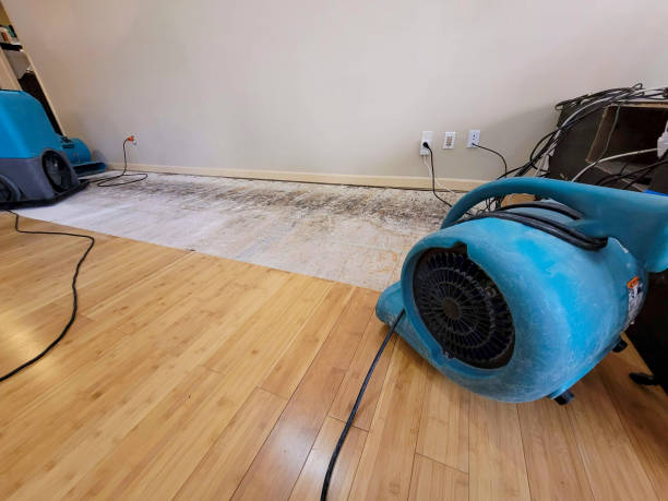 Professional Flood Damage Cleanup technician working in Clairfield, TN